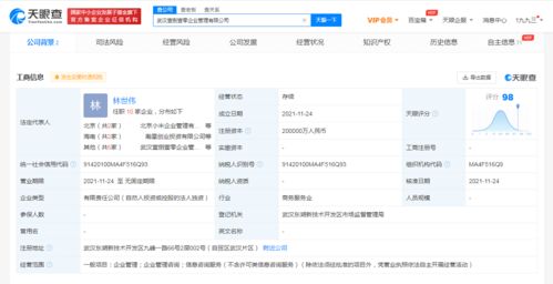 注冊(cè)資本20億元！小米在武漢成立企業(yè)管理公司，赤壁企業(yè)網(wǎng)站建設(shè)迎來新啟示